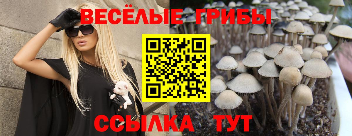 Галлюциногенные грибы мицелий Сарапул